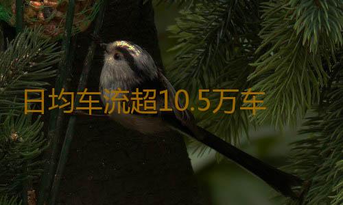 日均车流超10.5万车次！深中通道通过“中秋小考”